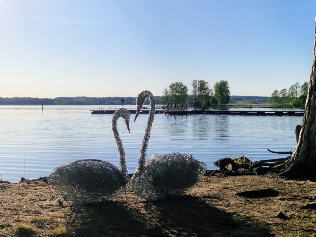 taideteos, kaksi joutsenta